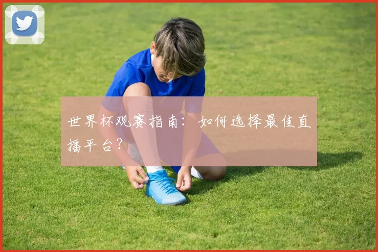 世界杯观赛指南：如何选择最佳直播平台？