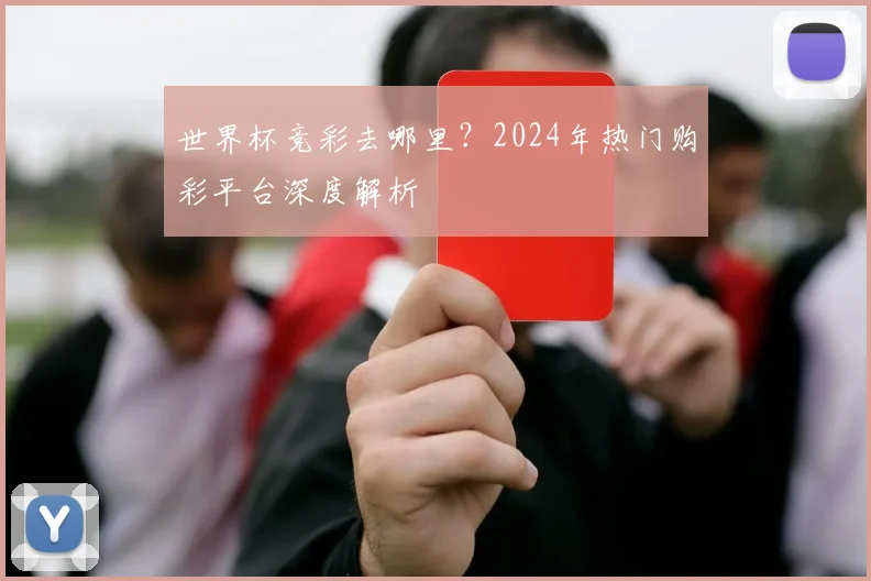世界杯竞彩去哪里？2024年热门购彩平台深度解析