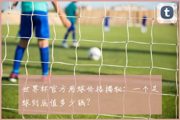 世界杯官方用球价格揭秘：一个足球到底值多少钱？