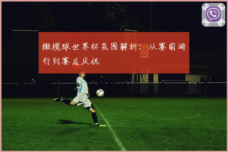 橄榄球世界杯氛围解析：从赛前游行到赛后庆祝