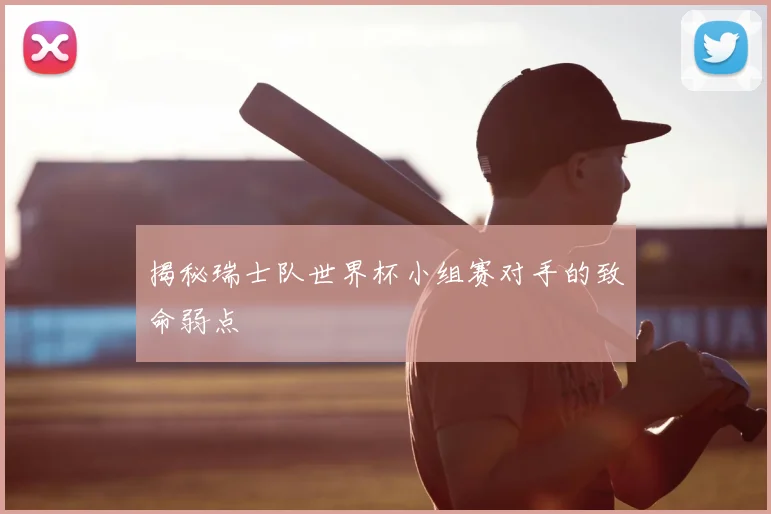 揭秘瑞士队世界杯小组赛对手的致命弱点