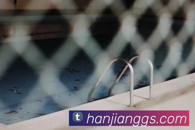 j9国际站官网入口APP 封面图